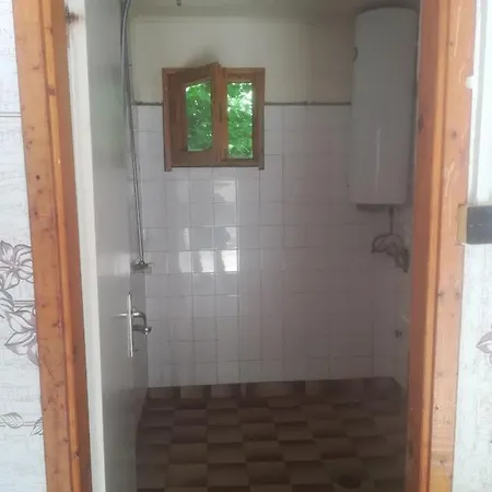 Фиш-Фиш *